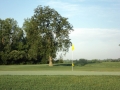 hickory hill 11