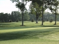 hickory hill 15